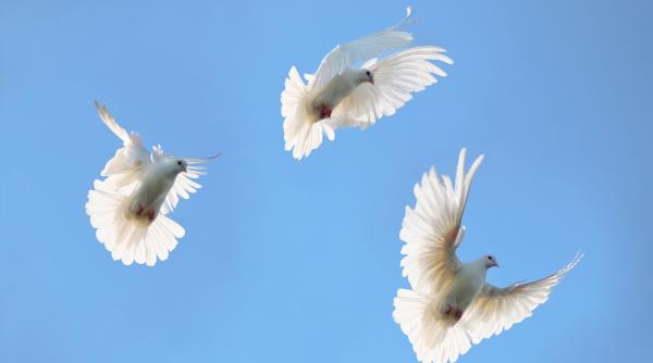 Cei trei copii români care s-au stins în Spania au fost înmormântați: „Durerea fizică a părinților era uriașă, dar nimic nu se compara cu cea din sufletele lor”