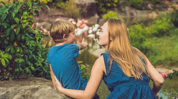 Cercurile de control. Activitatea recomandată de Harvard pentru a-i ajuta pe copii să gestioneze emoțiile dificile: În special pe cei cu vârste între 7 și 12 ani