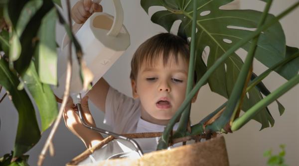 „Nu este obraznic, ci genial!” 8 comportamente „exasperante” ale copilului care arată că are o inteligență ridicată