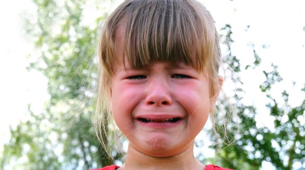 De ce copiii nu reușesc să-și autoregleze emoțiile: Ce vrea neuroștiința să știi