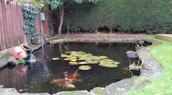 Tragedie la Timișoara: un copil de 1 an și 8 luni a sfârșit într-un iaz ornamental, în timpul programului de grădiniță