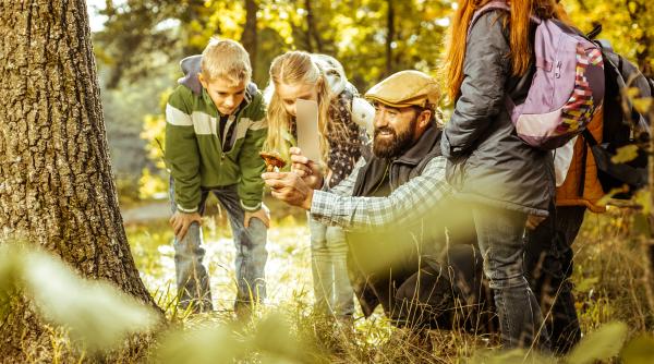 20 de milioane de euro stau nefolosiți pentru „Săptămâna Verde”, în timp ce părinții plătesc din buzunar excursiile și activitățile copiilor. Ultimatum pentru directorii de școli