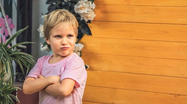 Cum să spui „nu” sau „stop” și să fii ascultat? Lecții de la un expert pentru părinții care au copii curioși și încăpățânați: „Am lucrat cu peste 1.000 de micuți. Funcționează!”