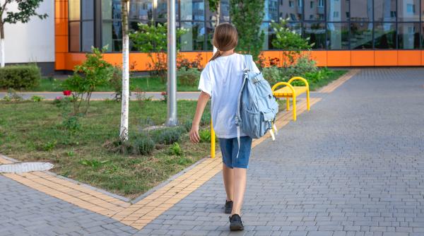 Ministerul Educaţiei pregăteşte modificări privind proiectele pentru reducerea abandonului şcolar şi reintegrarea tinerilor