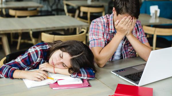 Conf. univ. dr. Florentina Sâmihăian, despre programa de limba și literatura română: „Dacă intri în clasa a IX-a cu o asemenea propunere îi faci să nu mai fie interesați de domeniu”