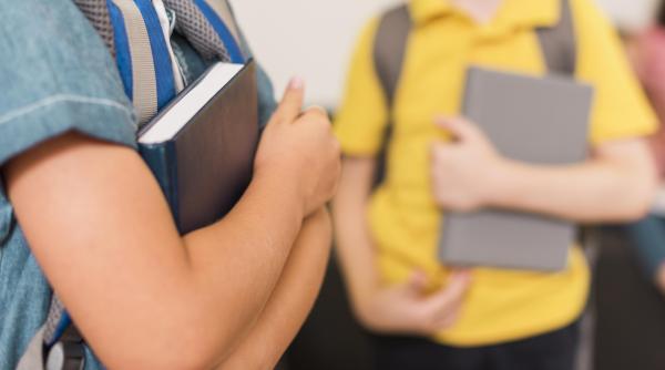 Care este problema programei școlare la Limba și Literatura Română. Acestea sunt lucrurile care îi lipsesc 