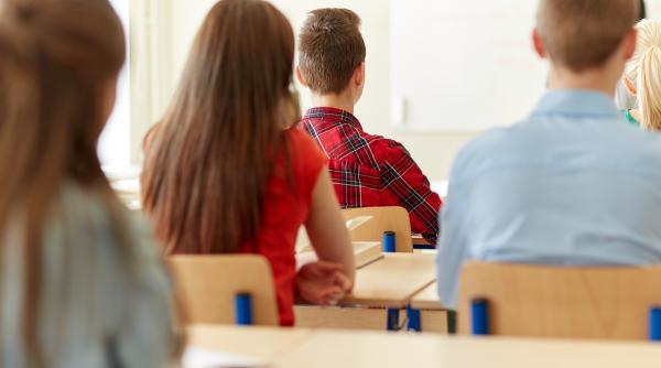 Noile variante de programe pentru Limba şi literatura română la clasa a IX-a. Ministerul Educației a publicat versiunile revizuite