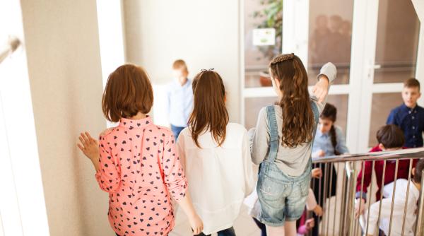 Ministerul Educației, schimbări pentru anul școlar viitor: Opţionalele nu vor mai fi organizate pe clase și se introduce co-predarea