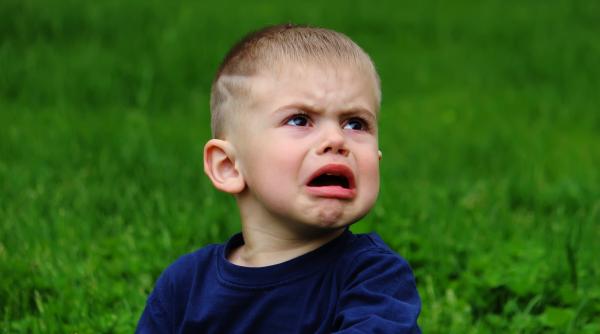 Când copilul are un tantrum, fă aceste patru lucruri, spune un expert în parenting: „Am văzut tot felul de comportamente”