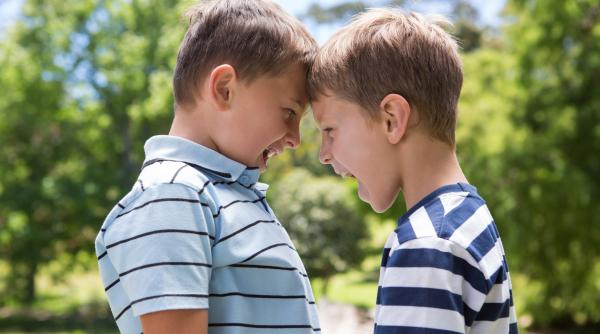 Ce să nu faci când copiii tăi se ceartă, potrivit experților