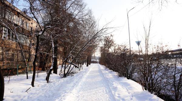 Tânără de 16 ani, electrocutată pe trotuar, în București, după ce un copac a căzut peste cabluri