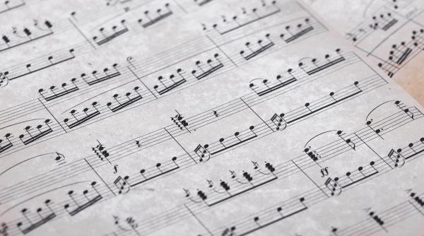 Elevii de la liceele vocaționale vor studia o nouă disciplină. Despre ce este vorba