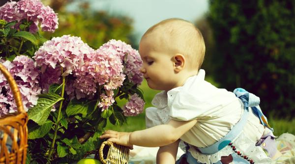 Studiu: Care sunt cele mai frecvente nume în rândul miliardarilor? Cercetarea a analizat cele mai mari 500 de averi la nivel global