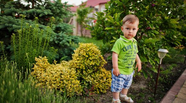 Studiu: 75% dintre copii preferă activitățile creative în locul ecranelor