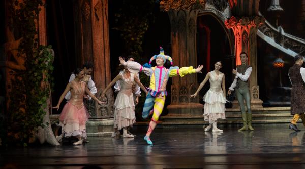 „Dansul pașilor de catifea”, festivalul care aduce incluziunea și diversitatea pe scena Operei Comice pentru Copii