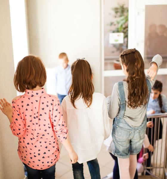 Ministerul Educației, schimbări pentru anul școlar viitor: Opţionalele nu vor mai fi organizate pe clase și se introduce co-predarea