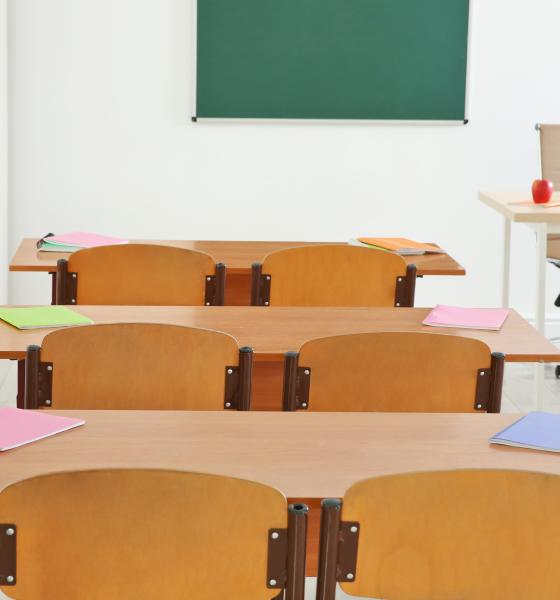 Lavinia Stan: „Asta trebuie să fie ca meserie și repede, în toate școlile!” / VIDEO