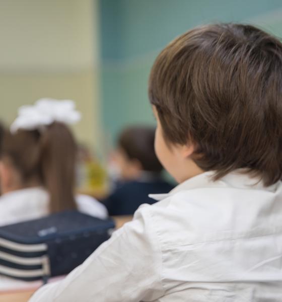 Prezența elevilor și profesorilor la ore, verificată prin inspecții tematice în județul Vâlcea