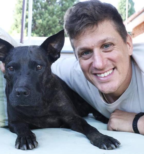 Un bărbat și-a tratat câinele bolnav de cancer cu un vaccin pe care l-a creat cu ChatGPT